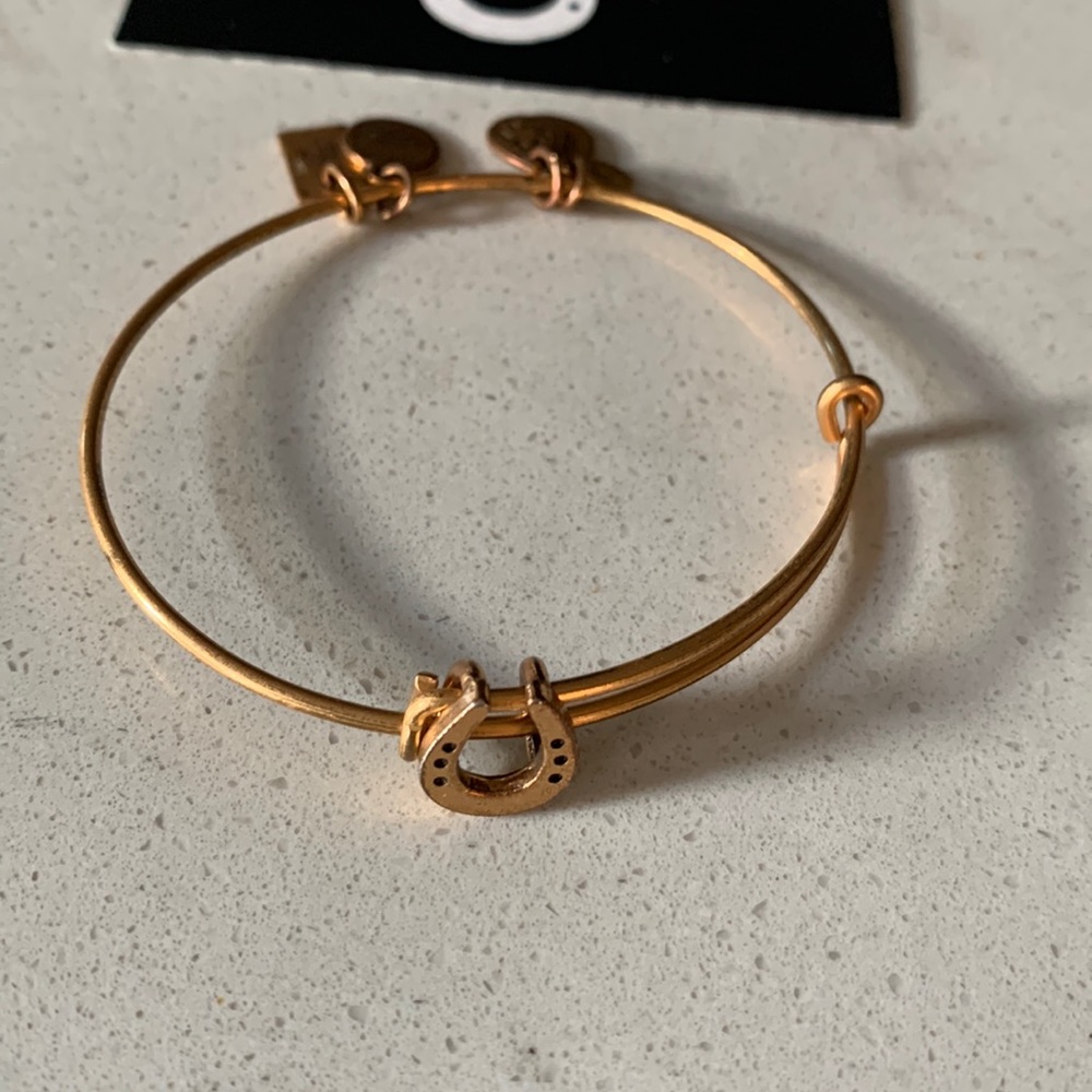 Alex And Ani Horseshoe Bracelet